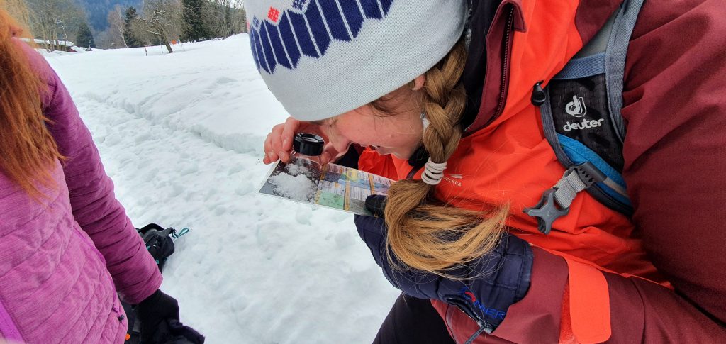 Skialpové intro leden 2026